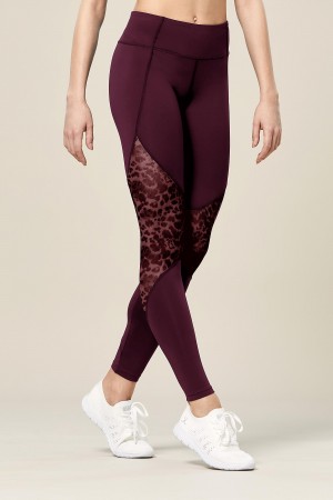 Bloch Ezra Animal Printed Mesh Panelled Full Length Tight Byxor Dam Lavish | SEDYB75890